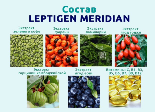 активные компоненты leptigen meridian