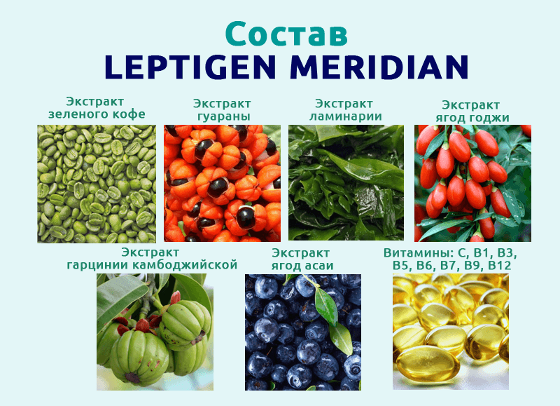 активные компоненты leptigen meridian